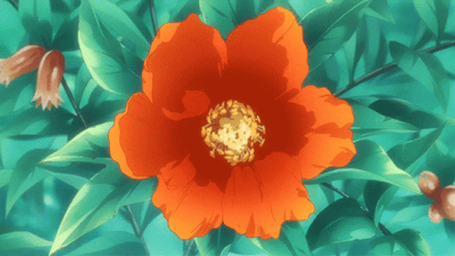 Pastel Orange Poppy Aesthetic GIF