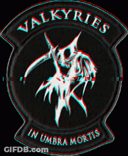 Patch Says Valkyries In Umbra Mortis GIF
