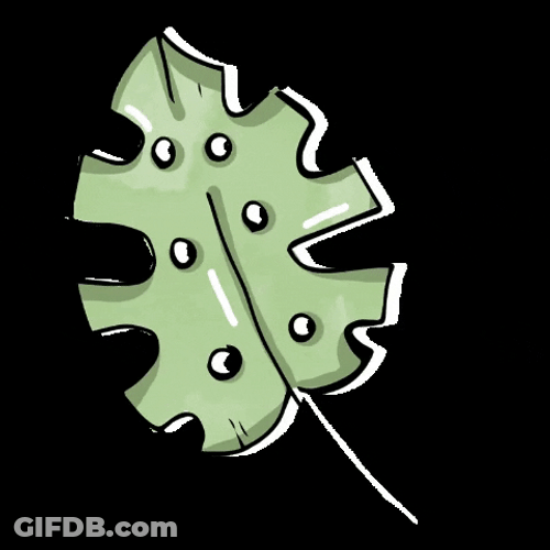 Patel Green Vector Leaf GIF