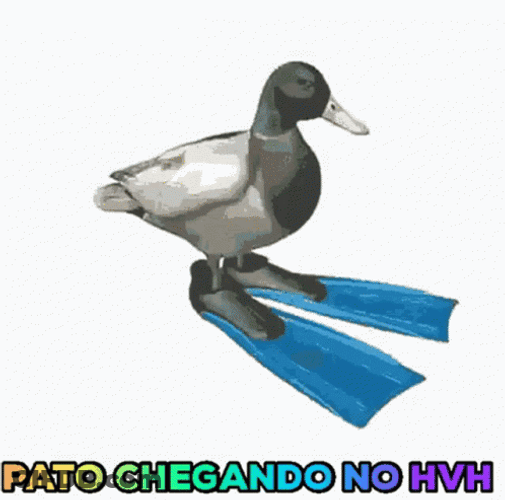 Pato Girando Duck Spinning GIF