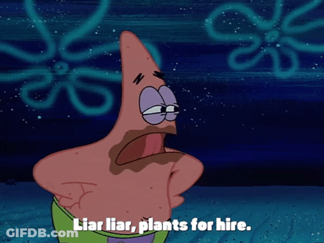 Patrick Saying Liar Plants For Hire GIF