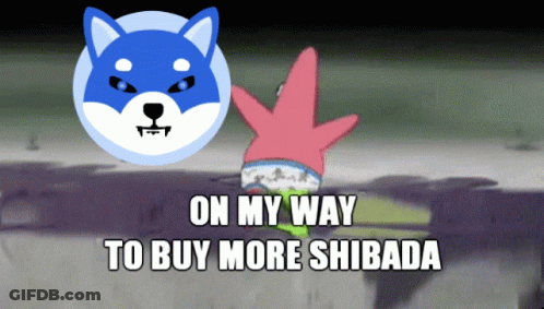 Patrick Star And Dog On My Way To Buy More Shibada GIF