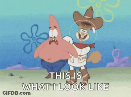 Patrick Star And Sandy Cheeks From Spongebob Squarepants Are Standing Next To Each Other And Talking About What They Loo GIF