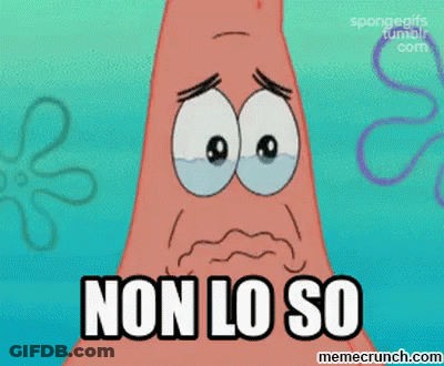 Patrick Star From Spongebob Squarepants Is Crying With The Words Non Lo So Below Him GIF