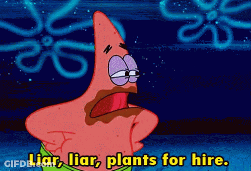 Patrick Star From Spongebob Squarepants Is Saying Liar Liar Plants For Hire GIF