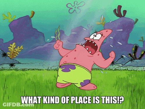 Patrick Star From Spongebob Squarepants Is Standing In A Grassy Field Asking What Kind Of Place Is This GIF