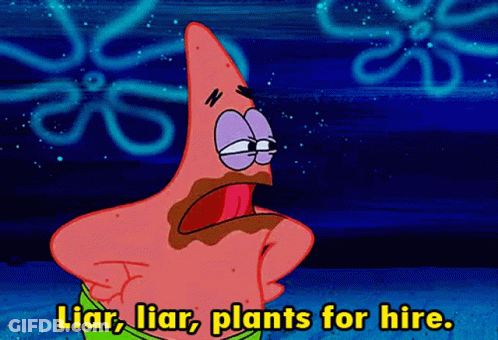 Patrick Star From Spongebob Squarepants Is Talking About Plants For Hire GIF