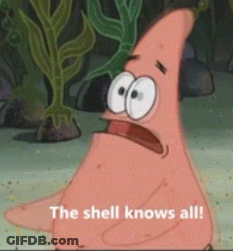 Patrick Star From Spongebob Squarepants Says `` The Shell Knows All ! '' GIF
