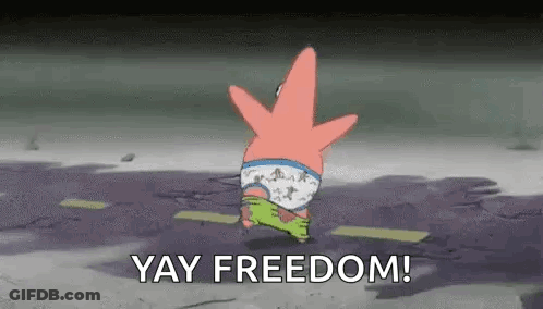 Patrick Star In Underwear Yay Freedom GIF