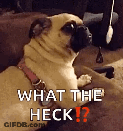 Patrick Star Lying On Grass GIF