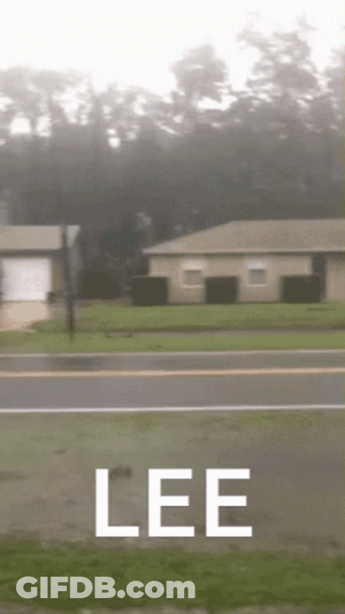 Patriot Guy On The Rain GIF
