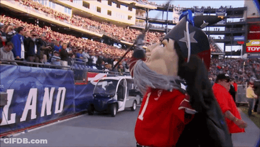Patriot Mascot Costume GIF