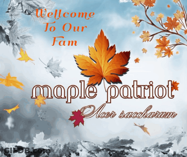 Patriot Welcome To Our Family GIF
