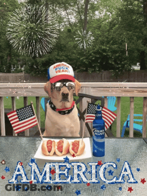 Patriotic American Dog Fireworks GIF