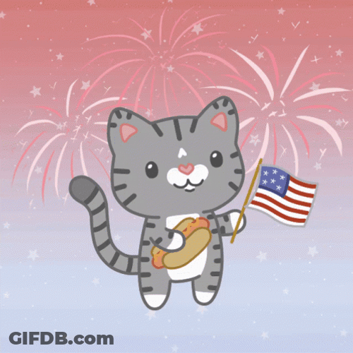 Patriotic Cat USA Flag GIF