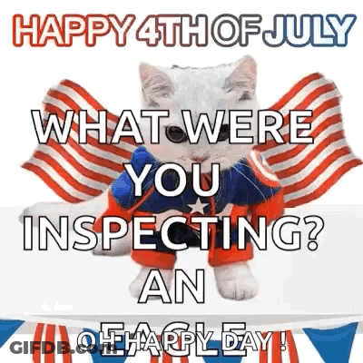 Patriotic Cat With Flag Happy 4Th Of July GIF