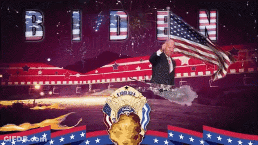 Patriotic Fireworks Display GIF