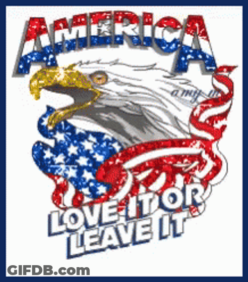 Patriotic Love Or Leave It GIF
