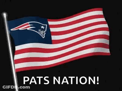 Patriots Flag Flying Pats Nation GIF