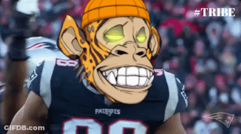 Patriots Football Player With Monkey Mask GIF