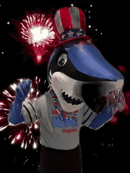 Patriots Mascot Celebration GIF