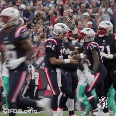 Patriots Players Celebrate Touchdown GIF