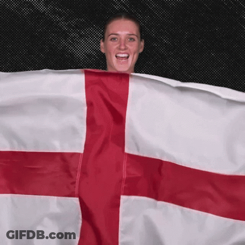 Patriots Stand With England Flag GIF