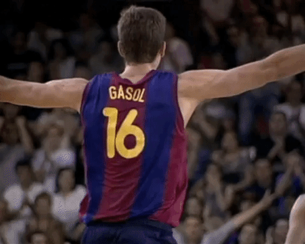 Pau Gasol Yes GIF