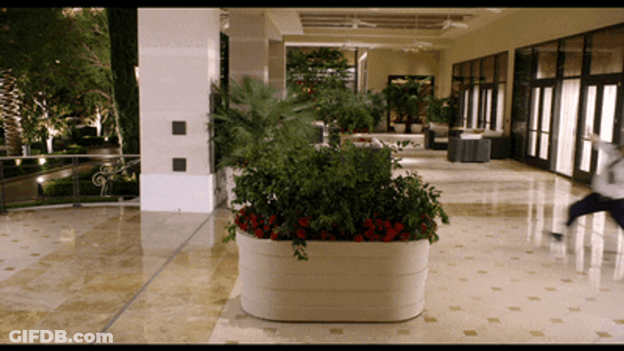 Paul Bratt Mall Cop Sliding GIF