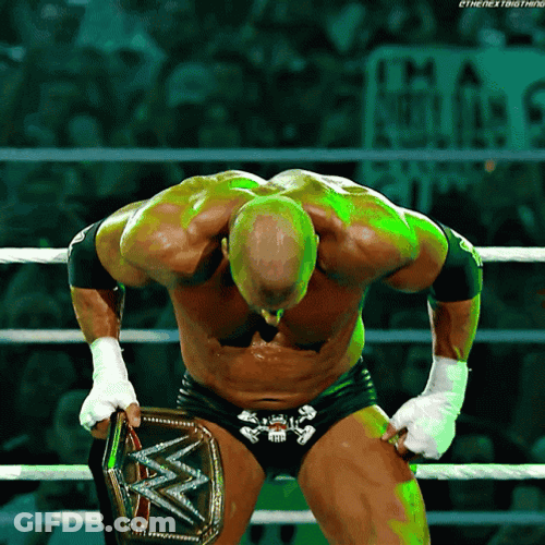 Paul Levesque Champion GIF
