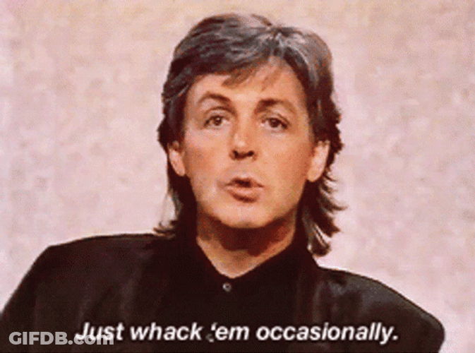 Paul McCartney Just Wack Em Occasionally GIF