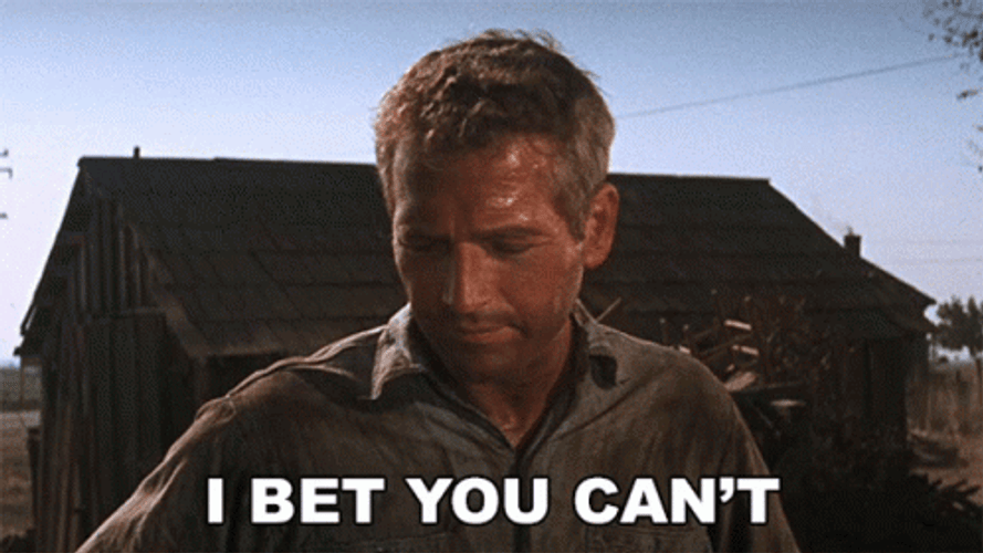 Paul Newman Cool Hand Luke GIF