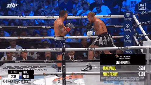 Paul Perry Vs Mike Perry Boxing Match GIF