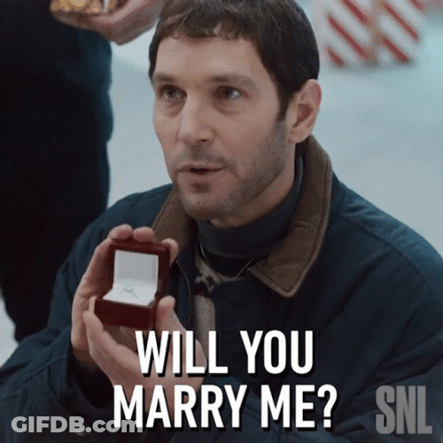 Paul Rudd Marry Me GIF