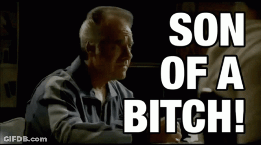 Paulie Walnuts GIF