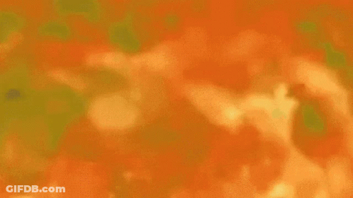 Paulok Jambon GIF