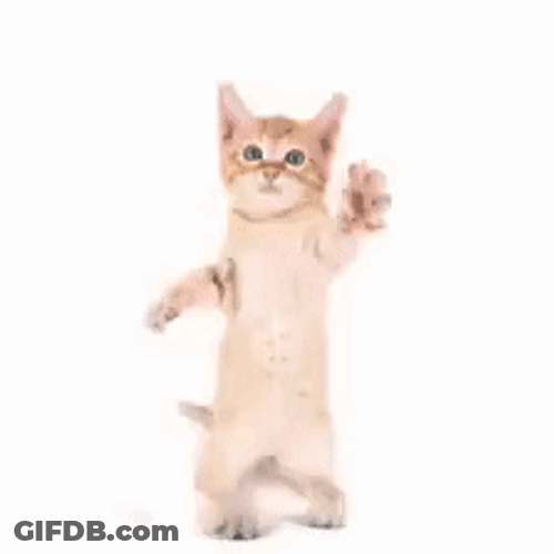 Paw Grabbing Dancing Cat Meme GIF