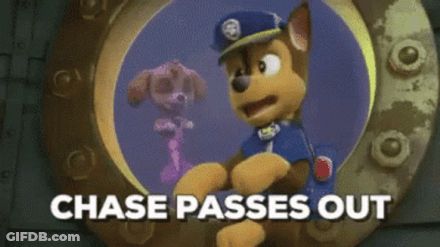 Paw Patrol Chase Pass Out GIF