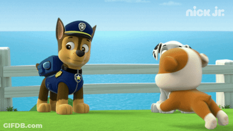 Paw Patrol Excited Puppy GIF