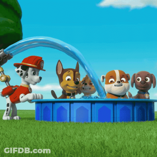 Paw Patrol Happy Water Pool GIF