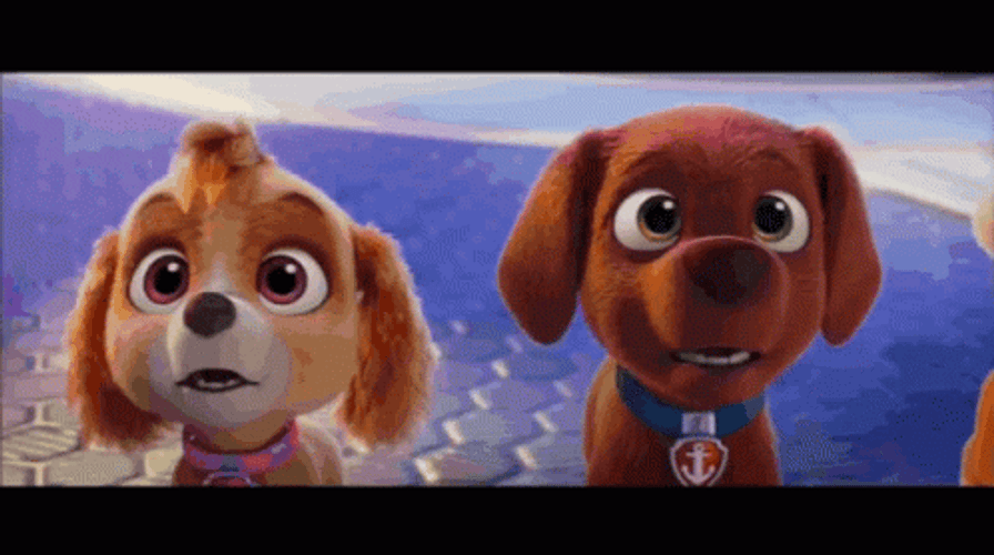 Paw Patrol Rubble Opera Amazed Shocked GIF