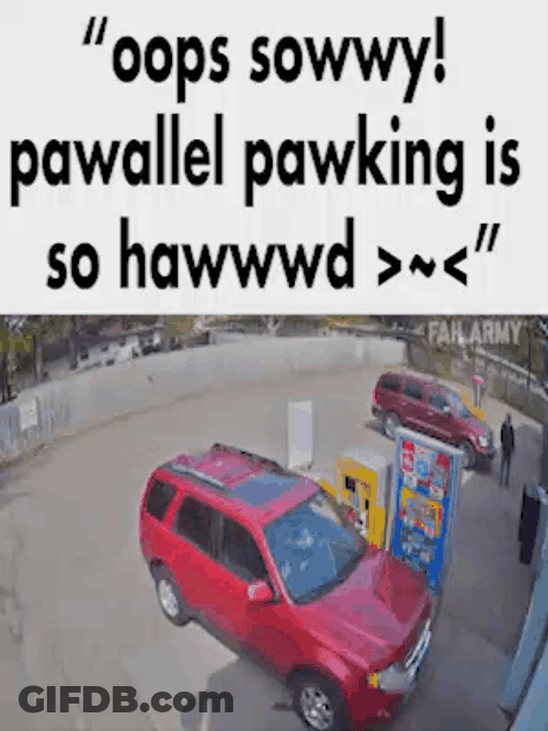 Pawallel Pawking Crash Meme GIF