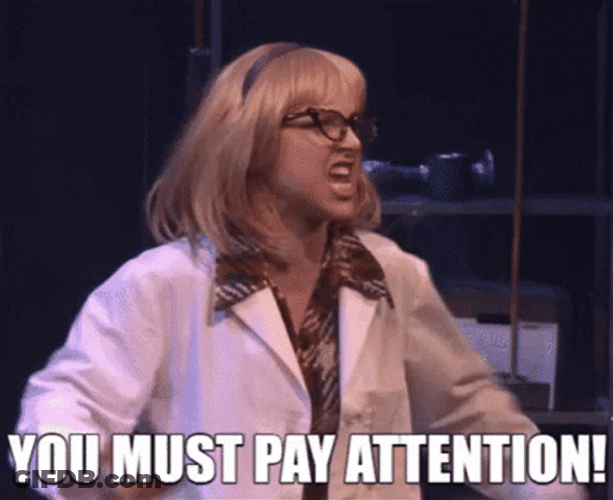 Pay Attention Cat Animation GIF