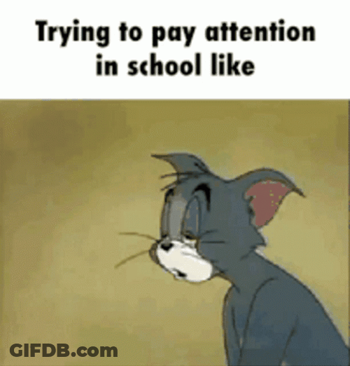 Pay Attention In School Be Like GIF