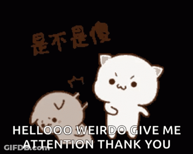 Pay Attention To Me Cat Smacking Head GIF