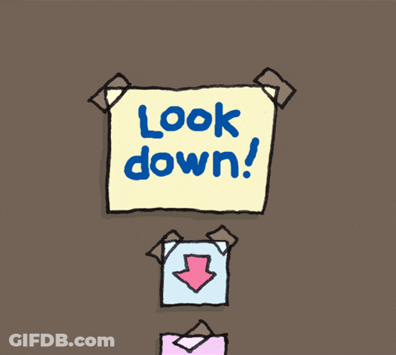 Pay Attention To Me Cute Doodle Dog GIF
