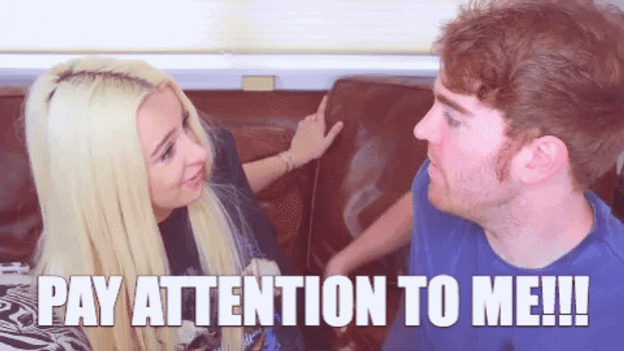 Pay Attention To Me Shane Dawson Tana Mongeau GIF