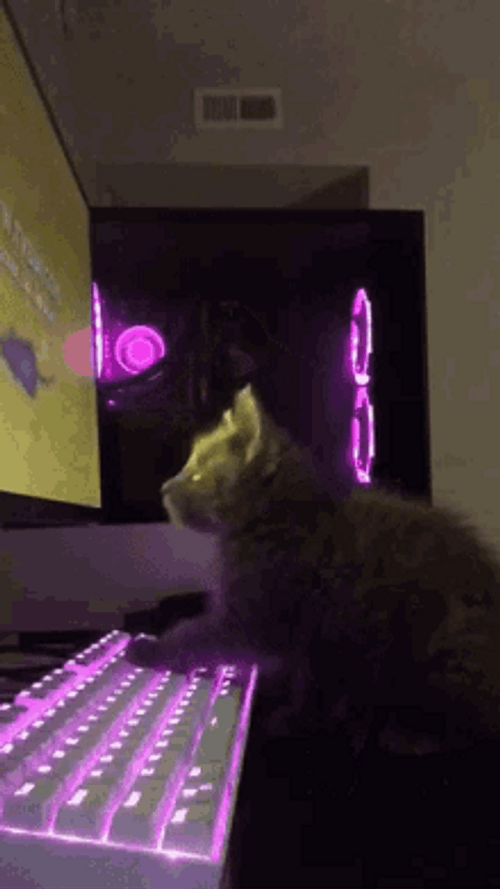 PC Game Keyboard Cat Typing GIF