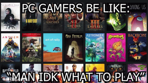 PC Gamers Be Like Among Us Man Idk What To Play GIF