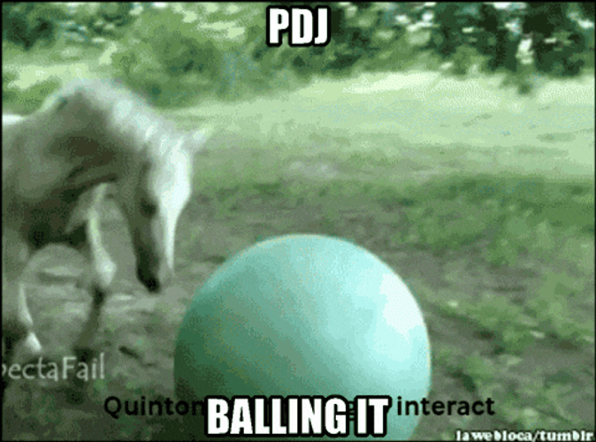 Pdj Balling It GIF